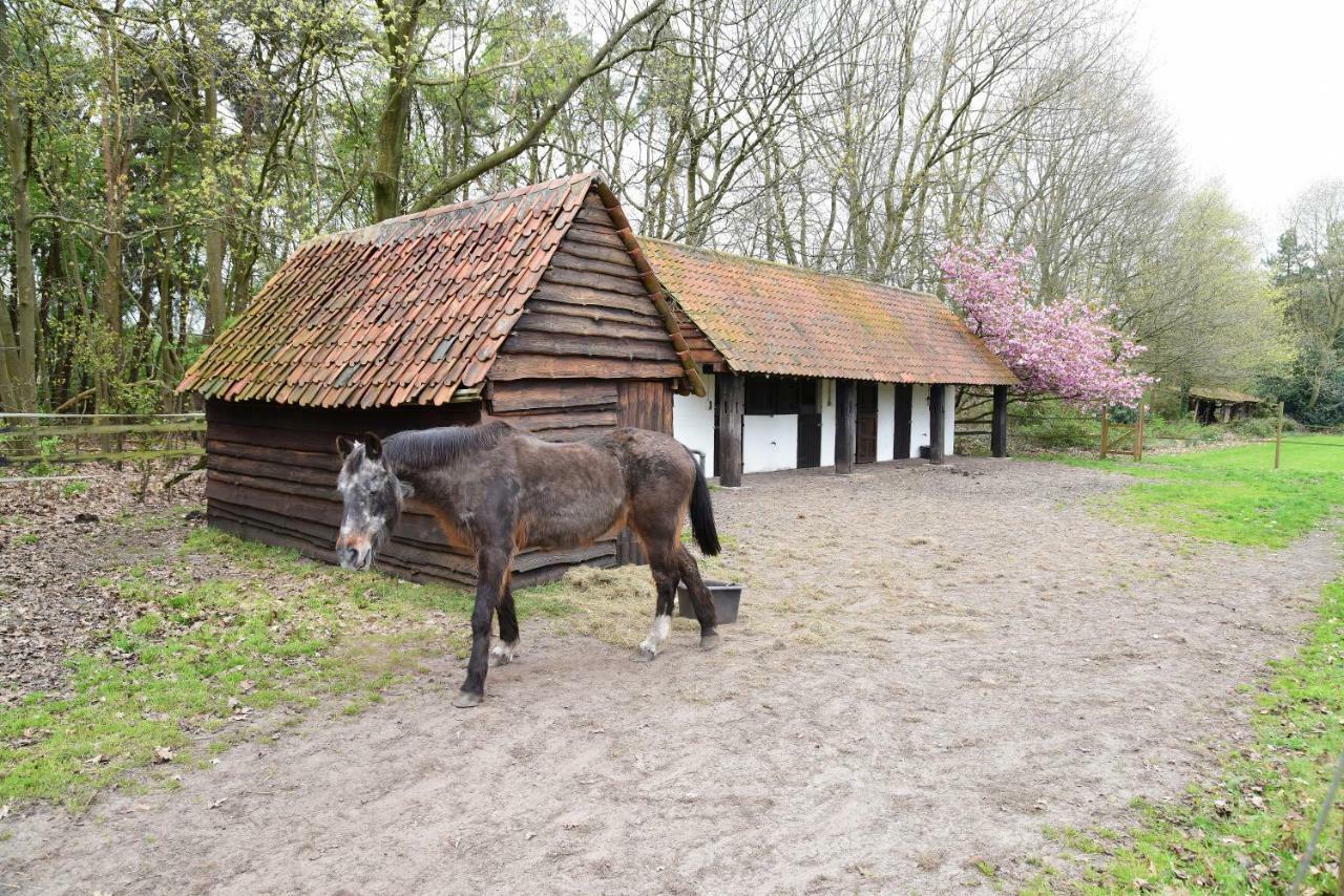 B&B Domein Rodin Oud-Turnhout Extérieur photo