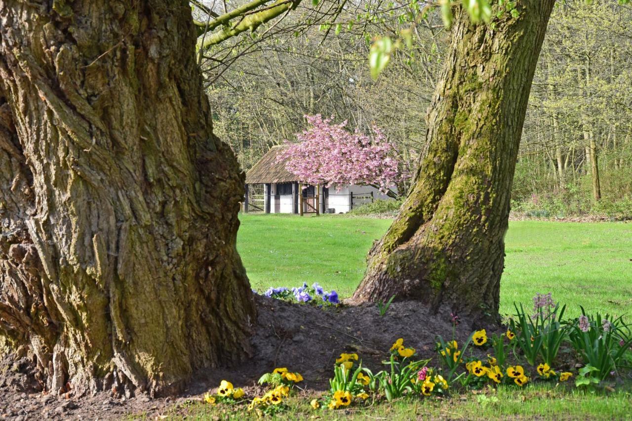 B&B Domein Rodin Oud-Turnhout Extérieur photo